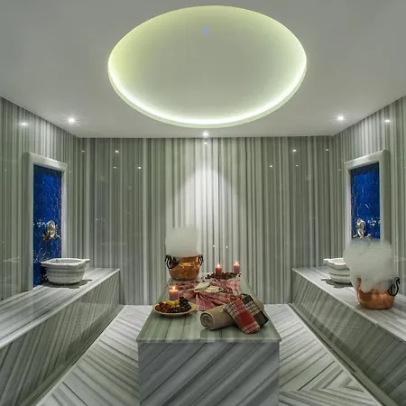 Holiday Inn Istanbul - Tuzla Bay By Ihg-3